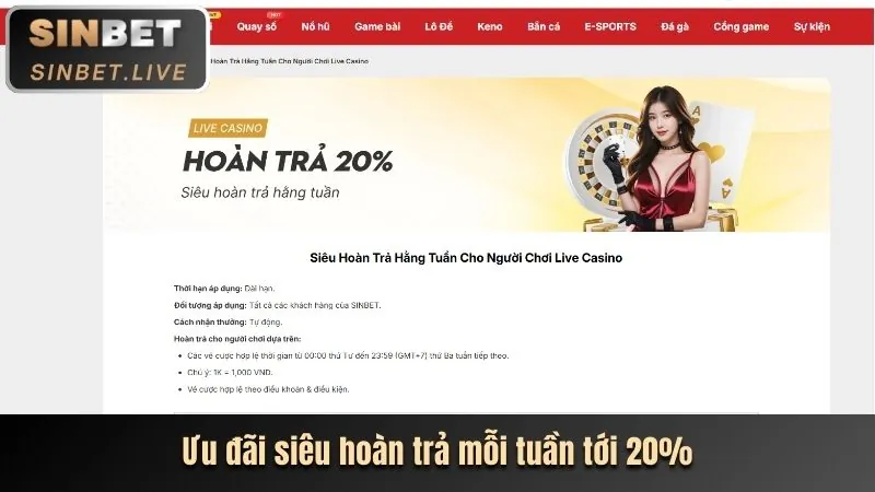 Tổng quan về SP666 Casino